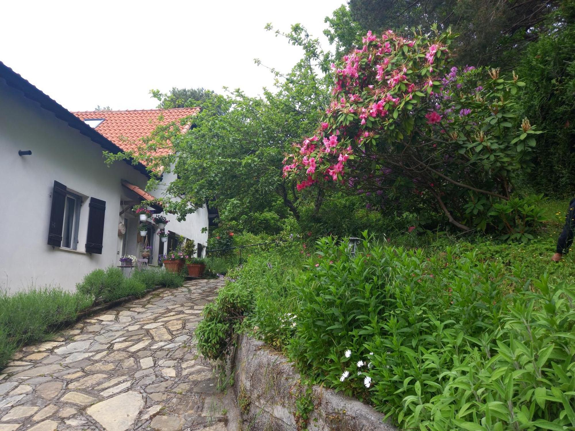 B&B Le Camelie Del Bosco Baiardo Exteriör bild